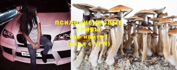 дурь Киреевск